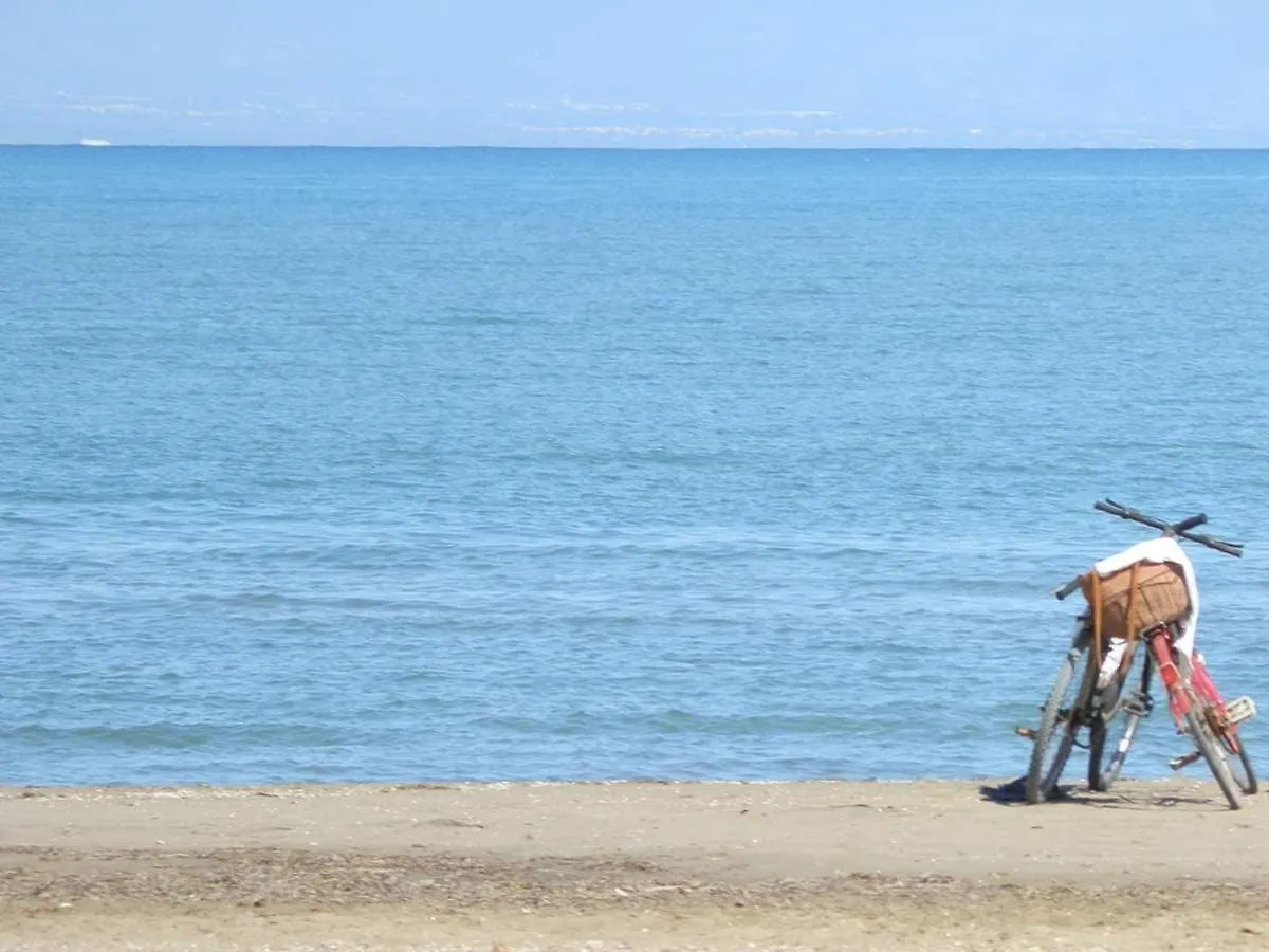 Casa Cerca Del Mar Con Piscina Privada, Ac Opcional, Wifi Gratis, Admite Mascotas, Playa Para Perros - Es-184-14 ريومار